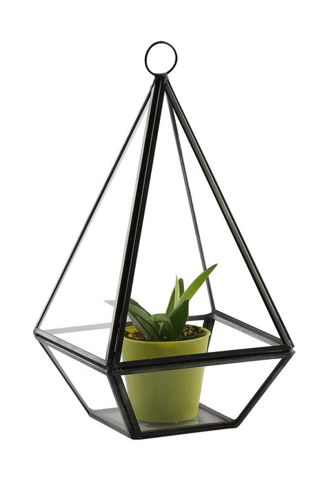 Leila Üçgen Cam Terrarium