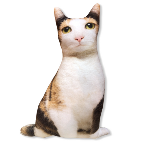 İrmik 3D Kedi Yastık